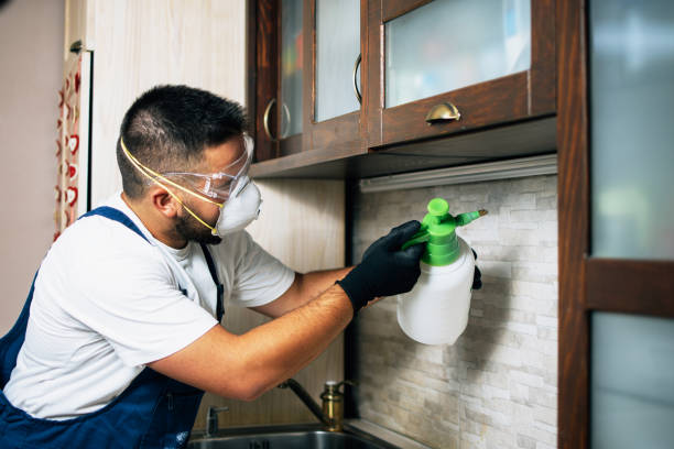 Best Best Pest Control Companies  in Bridgeton, MO