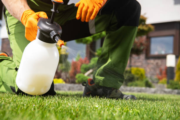 Bird Control in Bridgeton, MO
