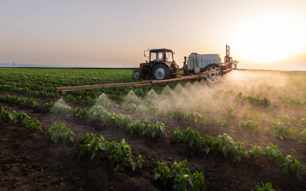 Best Commercial Pest Control Services  in Bridgeton, MO