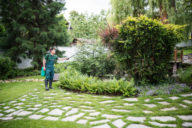 Reliable Bridgeton, MO Pest Control Solutions
