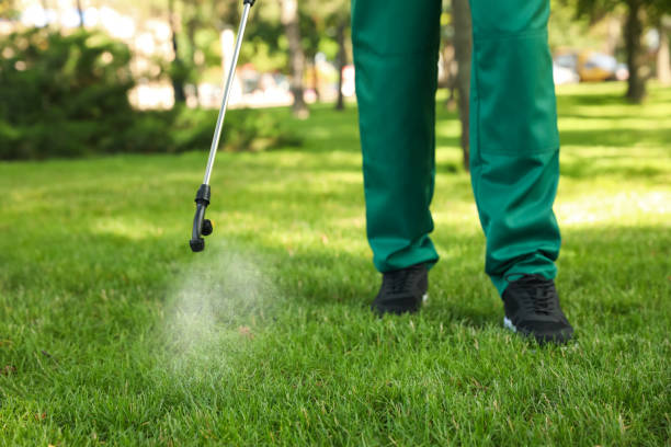 Best Pest Prevention Services  in Bridgeton, MO