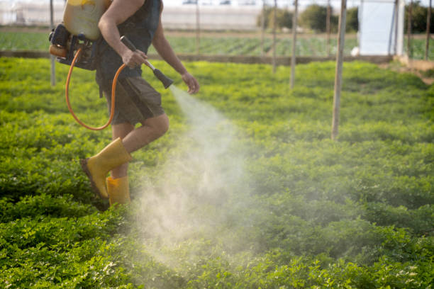 Best Residential Pest Control  in Bridgeton, MO