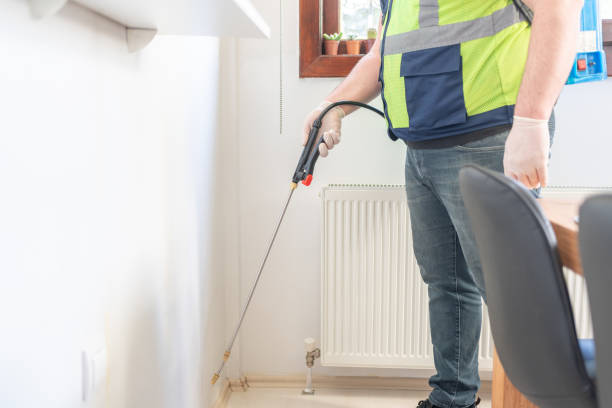 Best Cockroach Control Services  in Bridgeton, MO