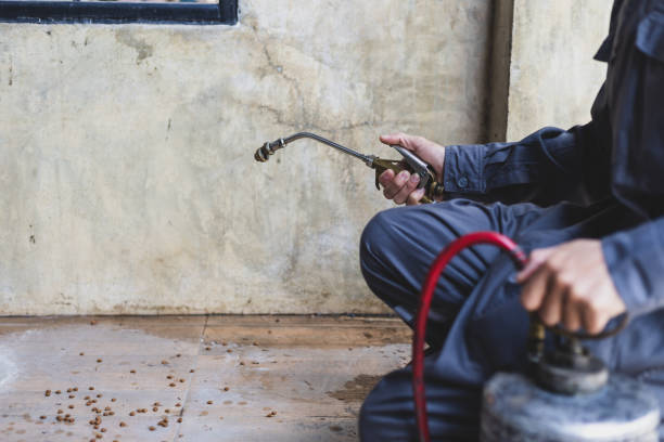 Best Exterminator Services  in Bridgeton, MO