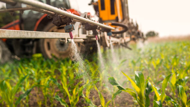 Best Local Pest Control Services  in Bridgeton, MO